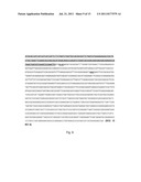 Thermostable Alcohol Dehydrogenase Derived From Thermococcus Guaymasensis diagram and image