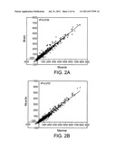 Multipotent Adult Stem Cells, Sources Thereof, Methods of Obtaining and     Maintaining Same, Methods of Differentiation Thereof, Methods of Use     Thereof and Cells Derived Thereof diagram and image