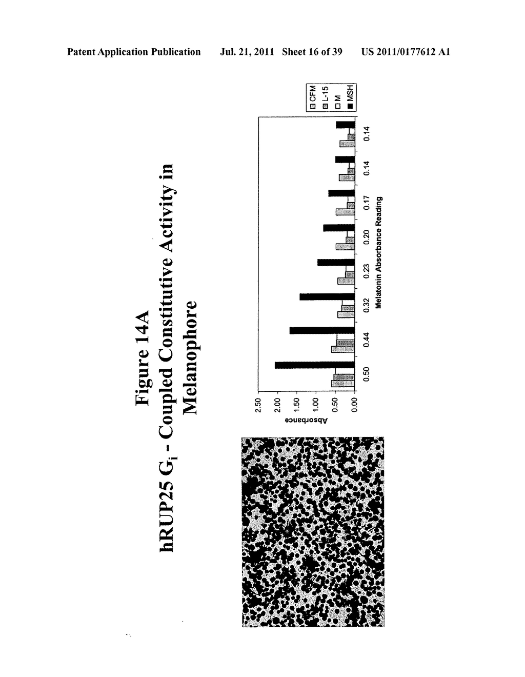 Human G Protein-Coupled Receptors and Modulators Thereof for the Treatment     of Metabolic-Related Disorders - diagram, schematic, and image 17