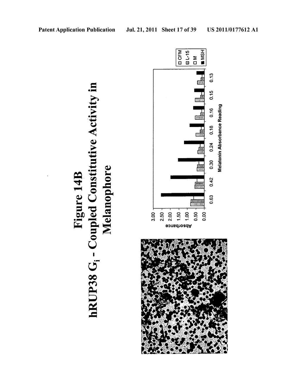 Human G Protein-Coupled Receptors and Modulators Thereof for the Treatment     of Metabolic-Related Disorders - diagram, schematic, and image 18