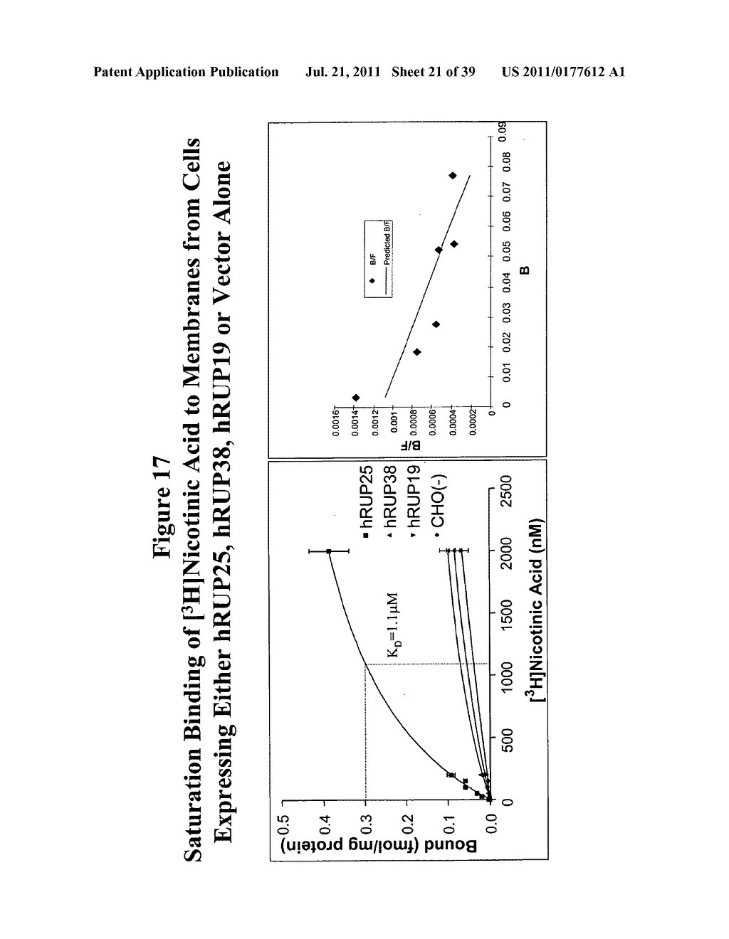 Human G Protein-Coupled Receptors and Modulators Thereof for the Treatment     of Metabolic-Related Disorders - diagram, schematic, and image 22