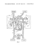 METHOD AND SYSTEM OF PREDICTING CLINICAL OUTCOME FOR A PATIENT WITH     CONGESTIVE HEART FAILURE diagram and image