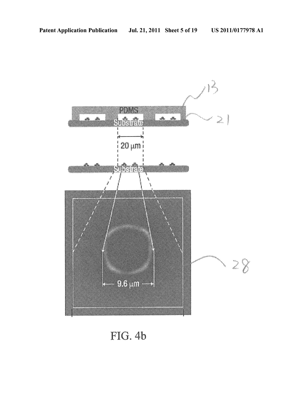 Apparatus and Method for Forming Self-Assembly Arrays - diagram, schematic, and image 06