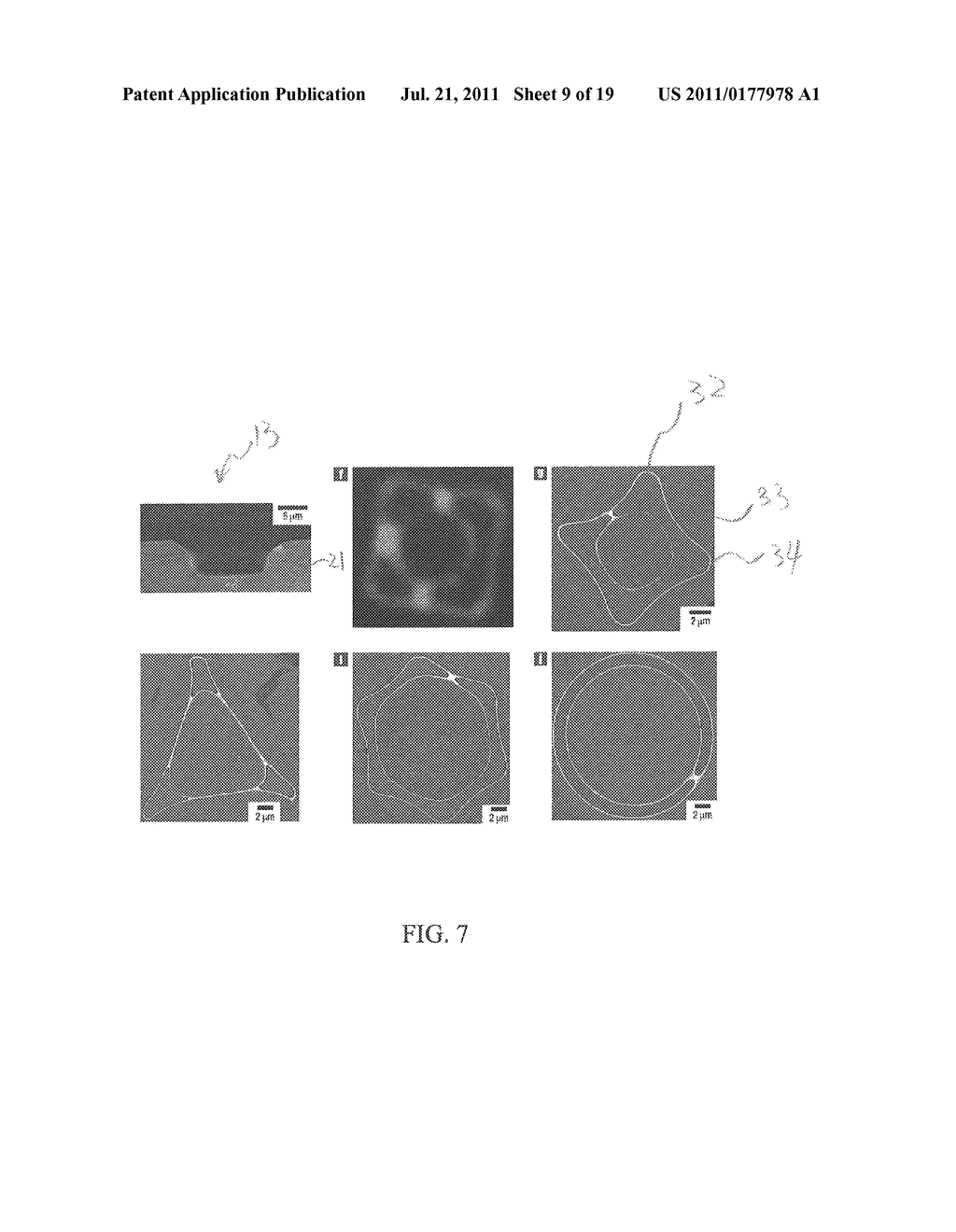 Apparatus and Method for Forming Self-Assembly Arrays - diagram, schematic, and image 10