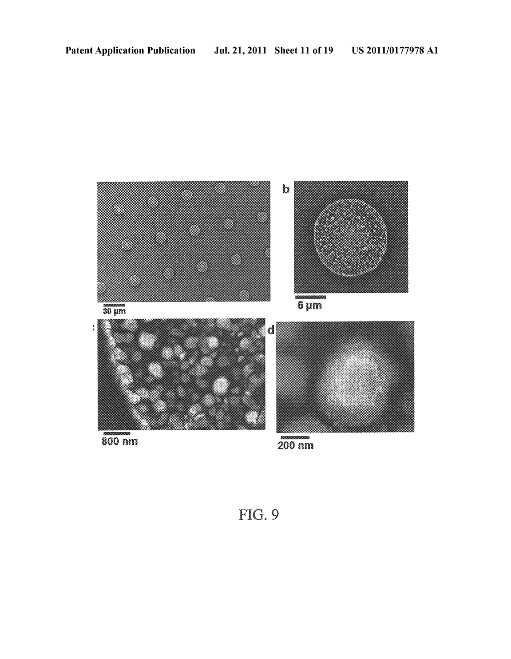 Apparatus and Method for Forming Self-Assembly Arrays - diagram, schematic, and image 12