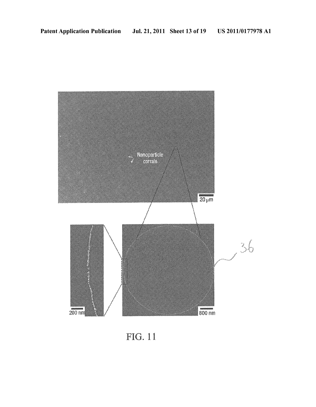 Apparatus and Method for Forming Self-Assembly Arrays - diagram, schematic, and image 14