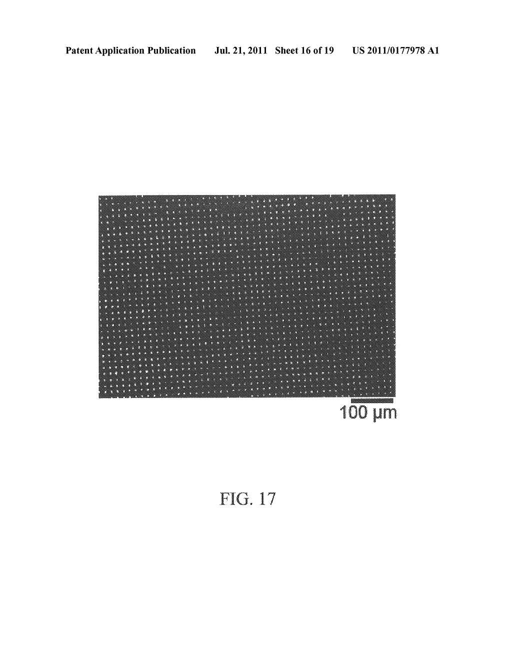 Apparatus and Method for Forming Self-Assembly Arrays - diagram, schematic, and image 17