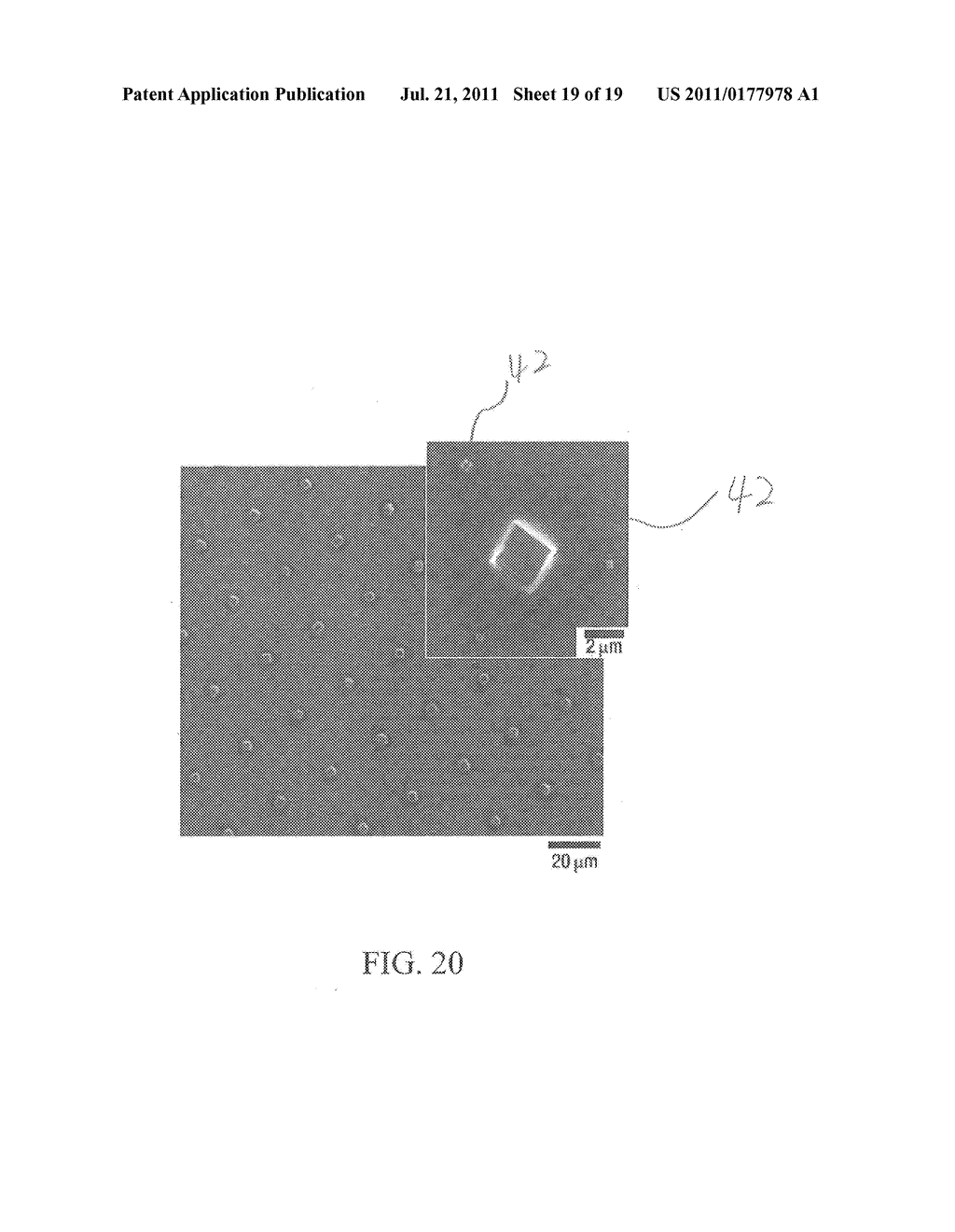 Apparatus and Method for Forming Self-Assembly Arrays - diagram, schematic, and image 20