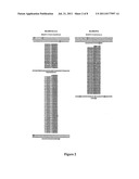 Cross-Beta Silk Genes diagram and image