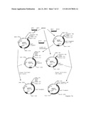 NOVEL SPINOSYN-PRODUCING POLYKETIDE SYNTHASES diagram and image