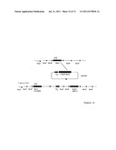 NOVEL SPINOSYN-PRODUCING POLYKETIDE SYNTHASES diagram and image