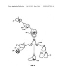 Methods of stimulating immune response in certain individuals diagram and image