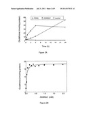 COMPOSITION COMPRISING S-ALLYLMERCAPTO-N-ACETYLCYSTEINE (ASSNAC) FOR     UP-REGULATION OF CELLULAR GLUTATHIONE LEVEL diagram and image