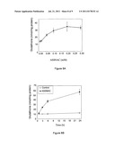 COMPOSITION COMPRISING S-ALLYLMERCAPTO-N-ACETYLCYSTEINE (ASSNAC) FOR     UP-REGULATION OF CELLULAR GLUTATHIONE LEVEL diagram and image