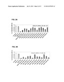 SILENCING OF CSN5 GENE EXPRESSION USING INTERFERING RNA diagram and image