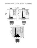 SILENCING OF CSN5 GENE EXPRESSION USING INTERFERING RNA diagram and image