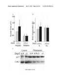 Method of suppressing pRb deficiency-induced tumor formation diagram and image