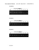 MODULATION OF HSP47 EXPRESSION diagram and image