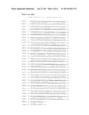 CANINE TRANSIENT RECEPTOR POTENTIAL V2 (CTRPV2) AND METHODS OF SCREENING     FOR TRPV2 CHANNEL MODULATORS diagram and image