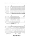 PLANTS HAVING ENHANCED YIELD-RELATED TRAITS AND A METHOD FOR MAKING THE     SAME diagram and image