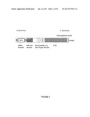 Plants Having Increased Yield and Method for Making the Same diagram and image