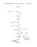 NOVEL GENES INVOLVED IN BIOSYNTHESIS diagram and image