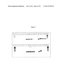 NOVEL GENES INVOLVED IN BIOSYNTHESIS diagram and image