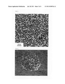 SILVER-CONTAINING POWDER, METHOD FOR PRODUCING THE SAME, CONDUCTIVE PASTE     USING THE SAME, AND PLASTIC SUBSTRATE diagram and image