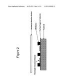 Quantum Dot Wavelength Conversion for Optical Devices Using Nonpolar or     Semipolar Gallium Containing Materials diagram and image