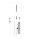 Quantum Dot Wavelength Conversion for Optical Devices Using Nonpolar or     Semipolar Gallium Containing Materials diagram and image