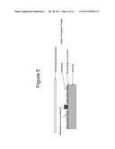 Quantum Dot Wavelength Conversion for Optical Devices Using Nonpolar or     Semipolar Gallium Containing Materials diagram and image