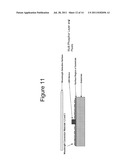 Quantum Dot Wavelength Conversion for Optical Devices Using Nonpolar or     Semipolar Gallium Containing Materials diagram and image