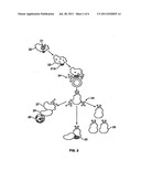 METHODS OF STIMULATING IMMUNE RESPONSE IN VIRALLY INFECTED INDIVIDUALS diagram and image