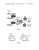 METHODS OF STIMULATING IMMUNE RESPONSE IN VIRALLY INFECTED INDIVIDUALS diagram and image