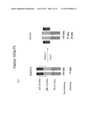 CLOTTING FACTOR-Fc CHIMERIC PROTEINS TO TREAT HEMOPHILIA diagram and image