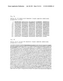 CLOTTING FACTOR-Fc CHIMERIC PROTEINS TO TREAT HEMOPHILIA diagram and image