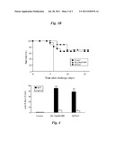 LIPOPLEX-PATCH BASED DNA VACCINE diagram and image