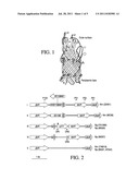 GONOCOCCAL VACCINES diagram and image