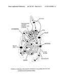 PHARMACEUTICAL DOSAGE FORM FOR THE SITE-SPECIFIC DELIVERY OF MORE THAN ONE     ACTIVE PHARMACEUTICAL INGREDIENT diagram and image