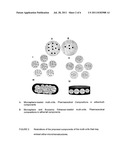 GASTRORETENTIVE PHARMACEUTICAL DOSAGE FORM diagram and image