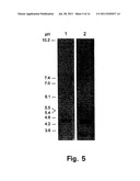 Recombinant hexose oxidase, a method of producing same and use of such     enzyme diagram and image