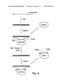 Recombinant hexose oxidase, a method of producing same and use of such     enzyme diagram and image