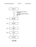 DEVELOPING AGENT AND METHOD OF MANUFACTURING THE SAME diagram and image