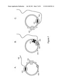 CLASSIFICATION OF NUCLEIC ACID TEMPLATES diagram and image