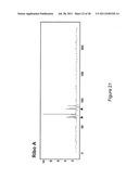 CLASSIFICATION OF NUCLEIC ACID TEMPLATES diagram and image