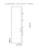 CLASSIFICATION OF NUCLEIC ACID TEMPLATES diagram and image