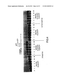 METHOD OF DETERMINING THE NUCLEOTIDE SEQUENCE OF OLIGONUCLEOTIDES AND DNA     MOLECULES diagram and image