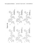 METHODS AND COMPOSITIONS FOR DEREPRESSION OF IAP-INHIBITED CASPASE diagram and image