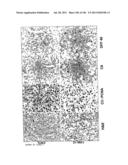 METHODS AND COMPOSITIONS FOR DEREPRESSION OF IAP-INHIBITED CASPASE diagram and image