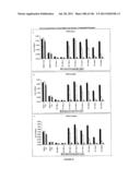 METHODS AND COMPOSITIONS FOR DEREPRESSION OF IAP-INHIBITED CASPASE diagram and image